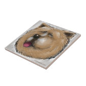 Carreau Chow Chow (Côté)