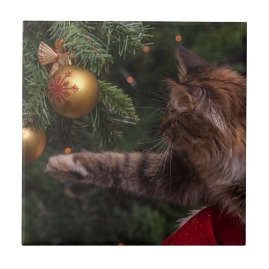 Carreau Christmas Cat (Devant)