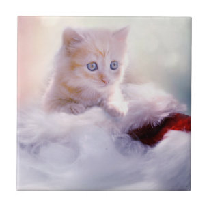 Carreau Christmas Kitten