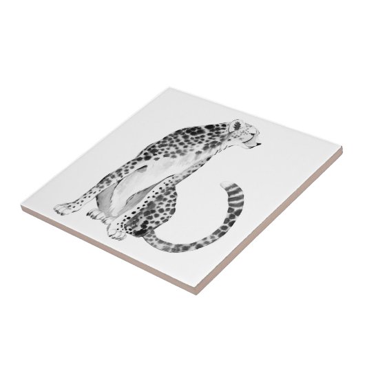 Carreau Chrome Cheetah (Côté)