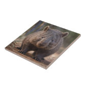 Carreau "Chubby Charm : L'adorable Wombat Australien" (Côté)