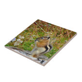 Carreau Chubby mignon chipmunk sur la souche de bois (Côté)