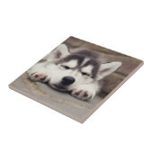 Carreau Chuppy Husky Sleeping (Côté)