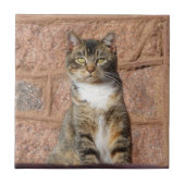 Carreau Church Cat (Devant)