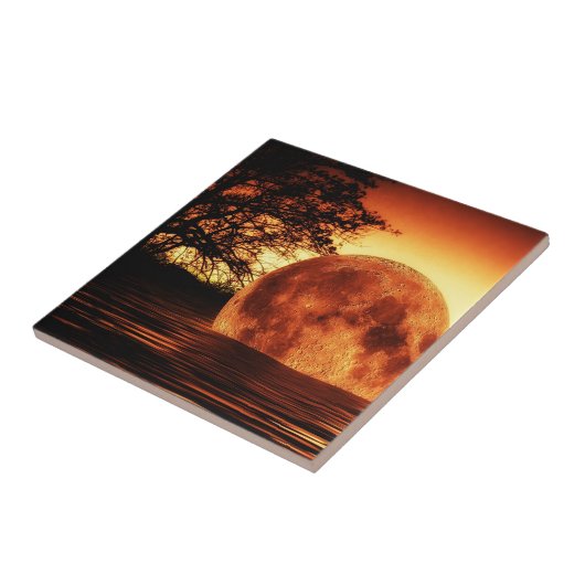 Carreau Chute de la rivière Moon (Côté)