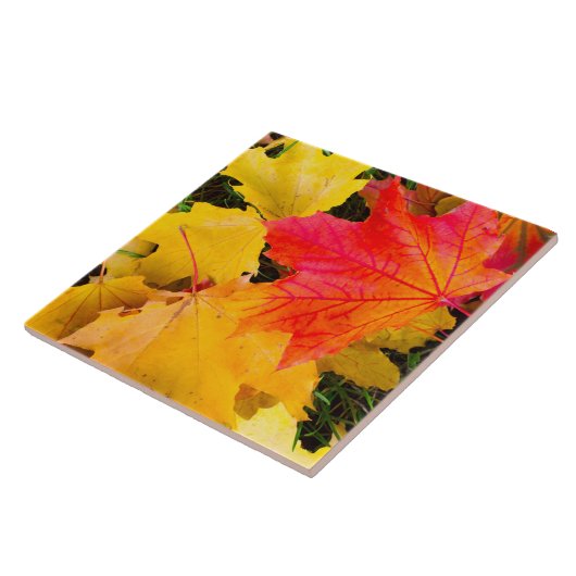 Carreau Chute des feuilles d'érable au sol (Côté)