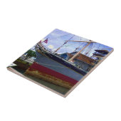 Carreau Chutes De Clyde (Côté)