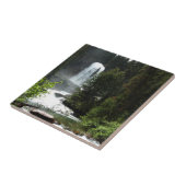 Carreau Chutes de Virginie au parc national Glacier (Côté)