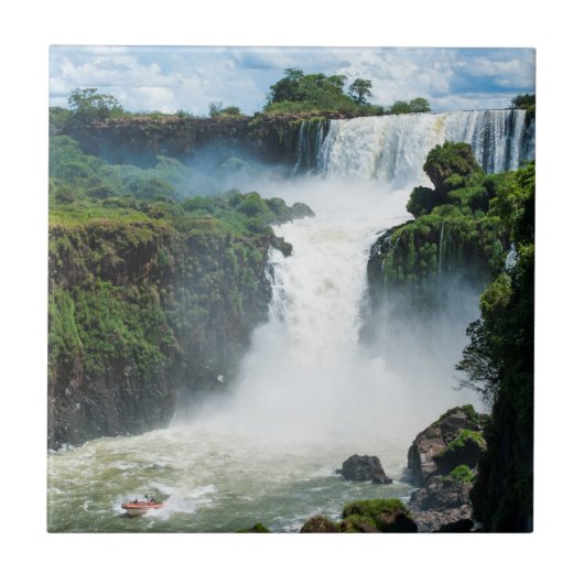 Carreau Chutes d'Iguazu entourées de jungle (Devant)
