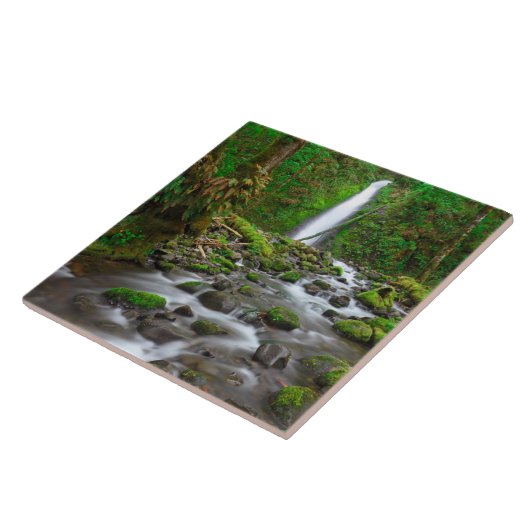 Carreau Chutes du ruisseau Ruckel, Columbia River Gorge Or (Côté)