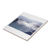 Carreau Chutes en fer à cheval (Côté)