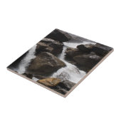 Carreau Chutes Wapama (Côté)