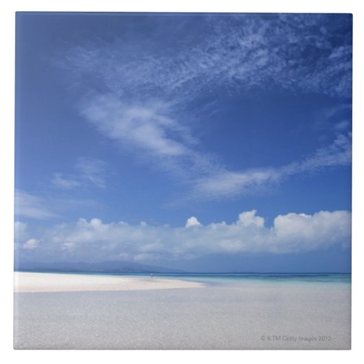 Carreau Ciel bleu et mer 2 (Devant)