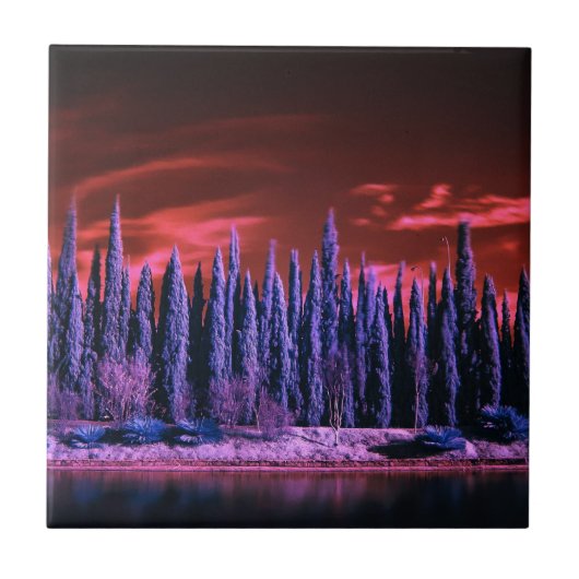 Carreau ciel d'hiver violet (Devant)