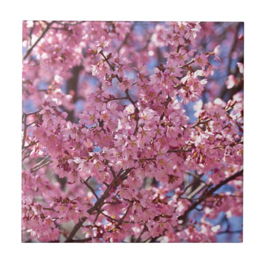 Carreau Ciel Rose de Cerisier Sakura (Devant)