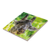 Carreau Cils de girafe (Côté)