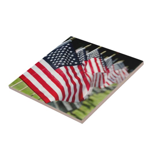 Carreau Cimetière militaire historique avec drapeaux améri (Côté)