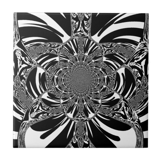 Carreau Circulaire Zebra Kaleidoscope Art (Devant)