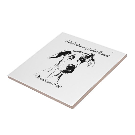 Carreau Citation de chien fou (Côté)