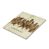 Carreau Cité de Cincinnati Ohio (Côté)