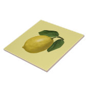 Carreau Citron botanique ~ Cuisine ~ N'importe quel Arrièr (Côté)