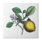 Carreau Citron, fruits et fleurs (Devant)