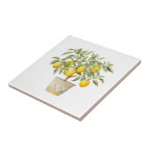 Carreau Citronnier toscan méditerranéen (Côté)