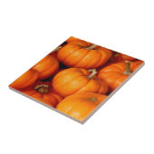 Carreau Citrouille (Côté)