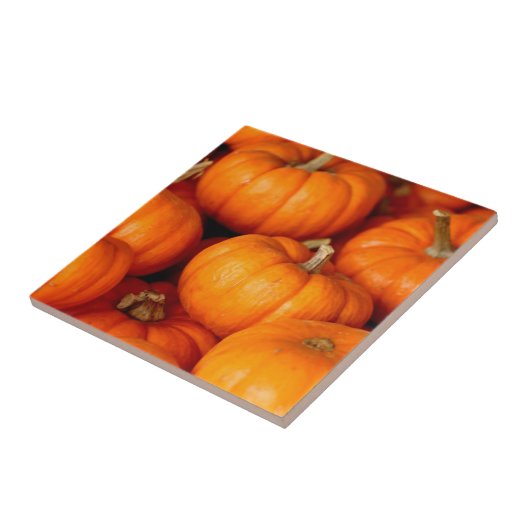 Carreau Citrouille (Côté)