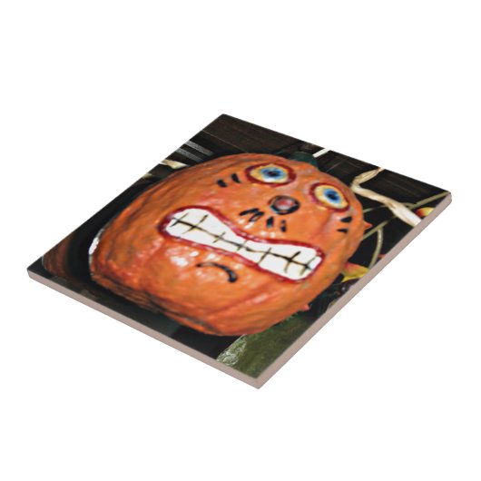 Carreau Citrouille de grain (Côté)