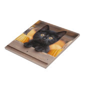 Carreau Citrouille Patch Kitten (Côté)