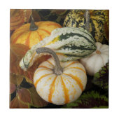 Carreau Citrouilles et Squash Still Life Photo (Devant)