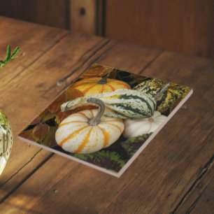 Carreau Citrouilles et Squash Still Life Photo