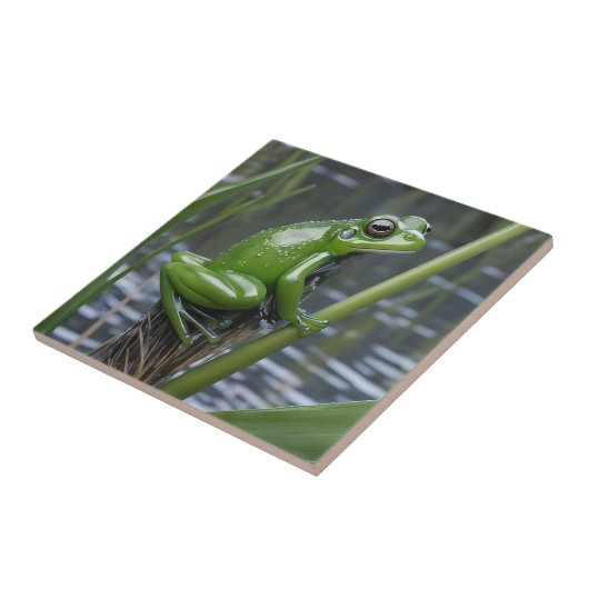 Carreau "Clarté cristalline : Grenouille verte en verre su (Côté)