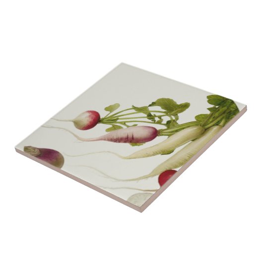 Carreau CLÉ BOtanique (Côté)