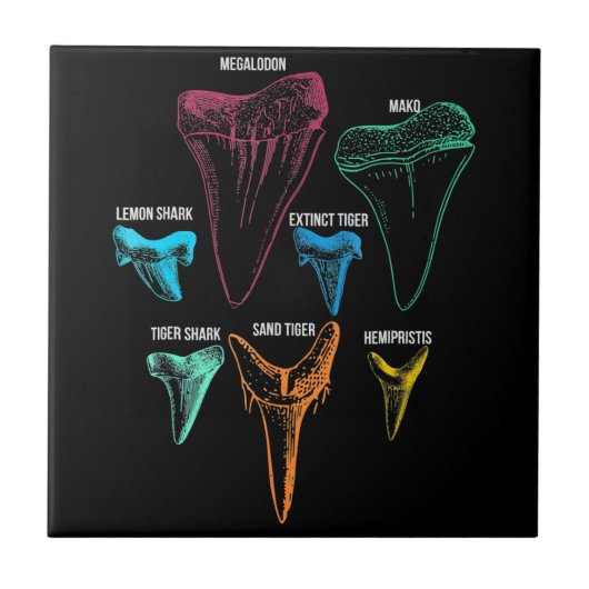 Carreau Clé d'identité de la chasse aux dents de requin (Devant)
