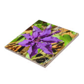 CARREAU CLEMATIS (Côté)