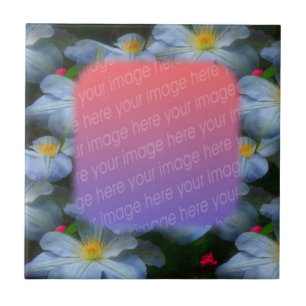 Carreau Clematis Blanc Fleurs Votre Carrelage Photo