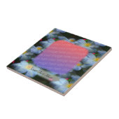 Carreau Clematis Blanc Fleurs Votre Carrelage Photo (Côté)