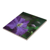 Carreau Clematis pourpre (Côté)