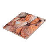 Carreau Clés de Floride, Key West, coquillages (Côté)
