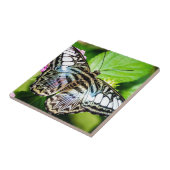 Carreau Clipper bleu (Côté)