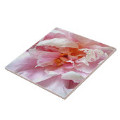 Carreau Closeup des pivoines roses pâles (Côté)