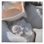 Carreau Closeuse Coques de conque (Devant)