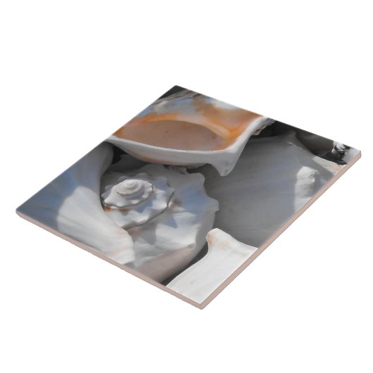 Carreau Closeuse Coques de conque (Côté)