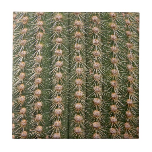 Carreau Clôture de cactus (Devant)