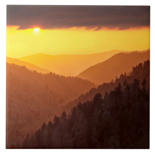 Carreau Clouds Fills Valley, Tennessee (Devant)