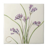 Carreau Clusterlily par Mary Vaux Walcott (Devant)