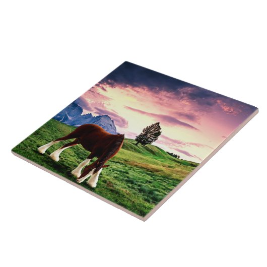 Carreau Clydesdale Sunset (Côté)