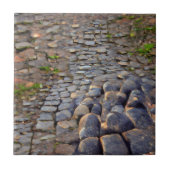 Carreau Cobblestones herbe grise dans les fissures art gra (Devant)